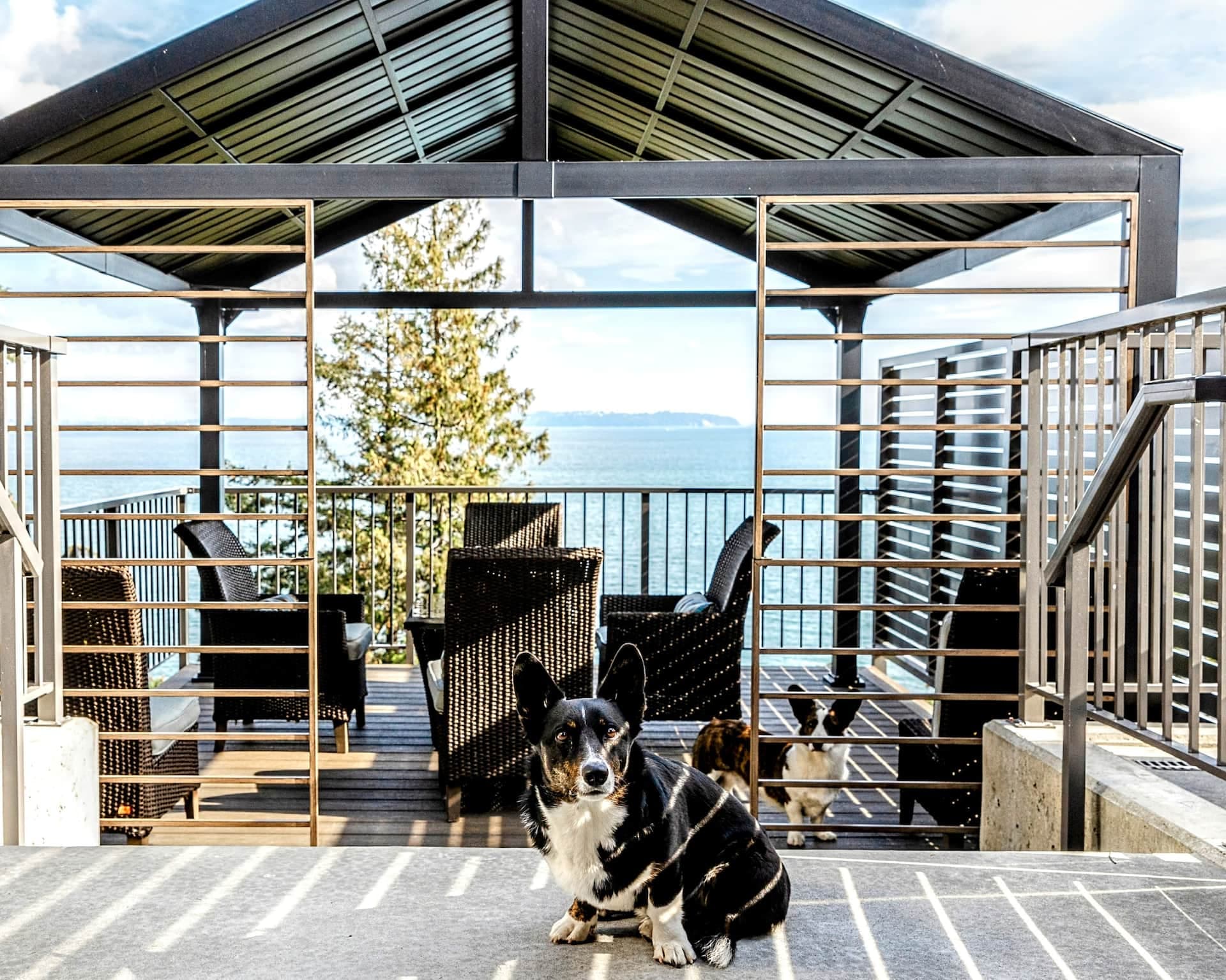 Ocean-view sauna pergola at the cabanas, dogs on the deck