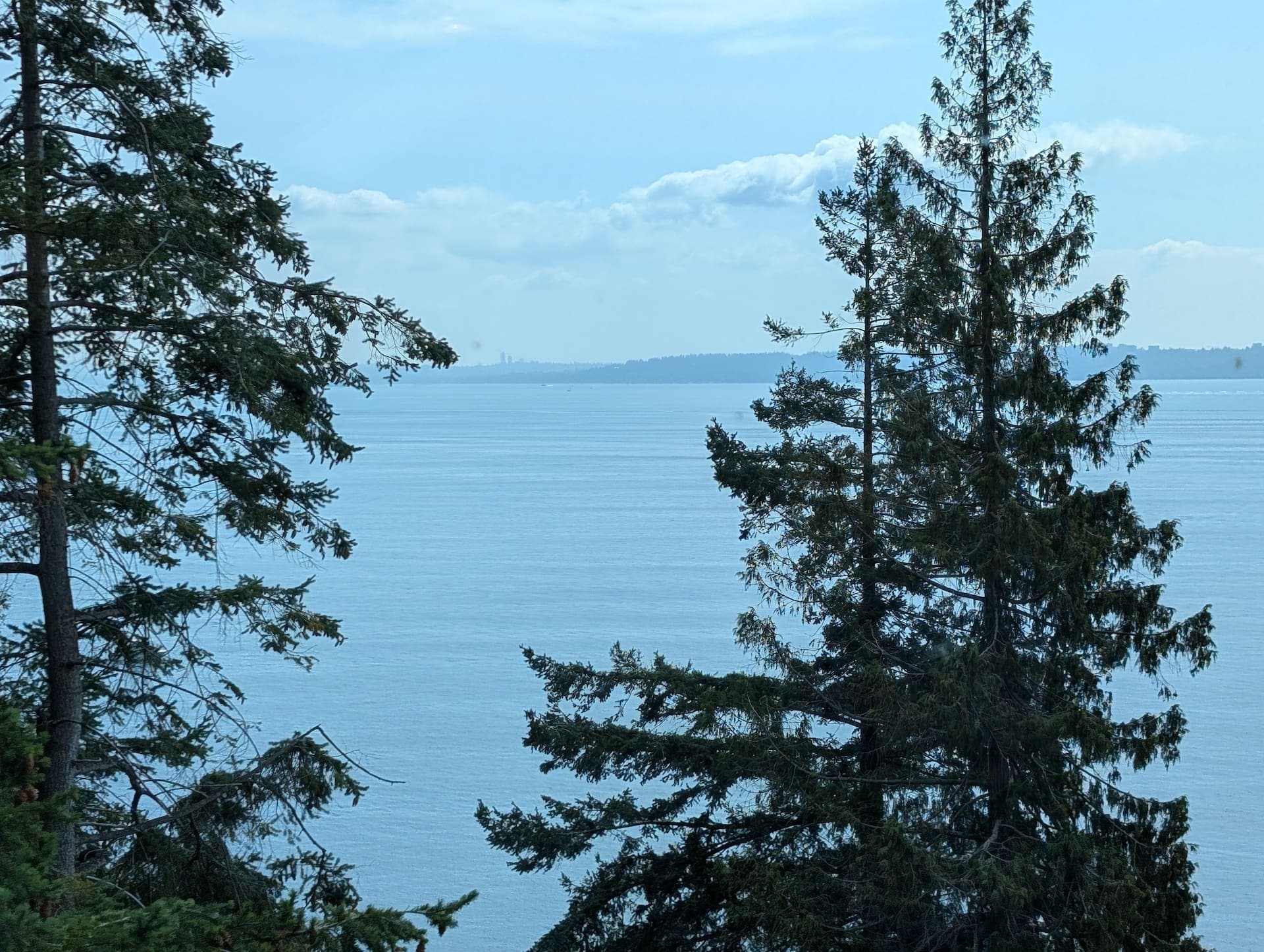 The view